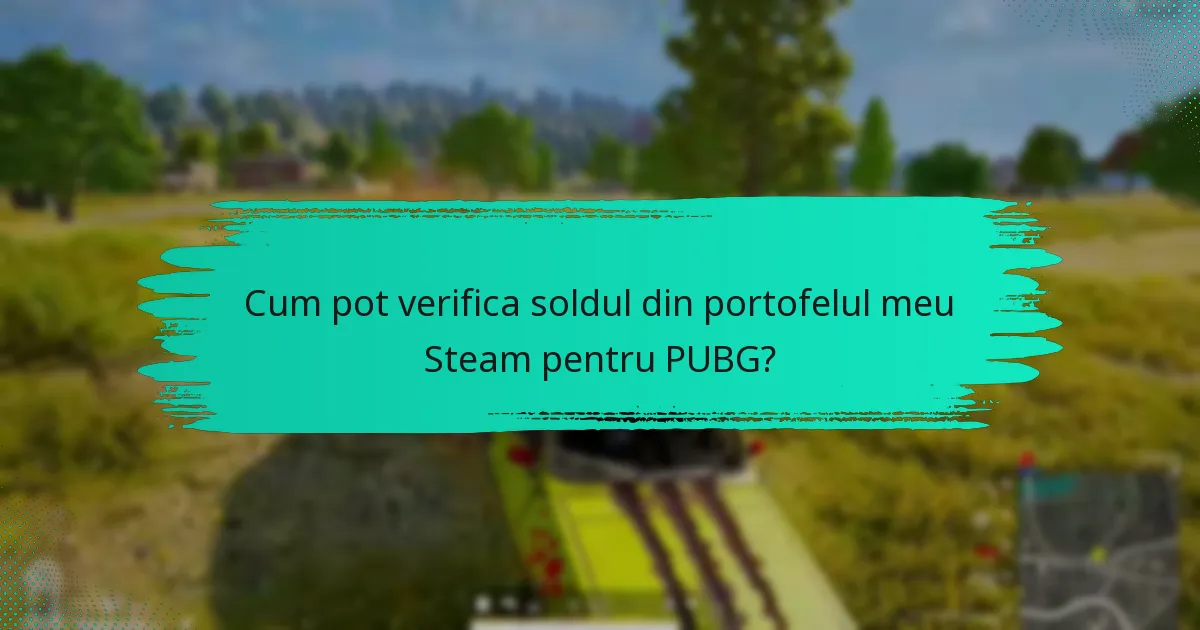 Cum se compară portofelul Steam cu alte metode de plată pentru PUBG?