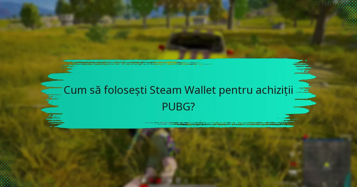 Cum să folosești Steam Wallet pentru achiziții PUBG?